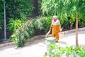 Old lady in saree and mask cleaning pavements sidewalks and streets with a wooden broom and putting garbage into a green