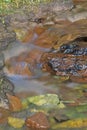 Gurgling Brook, Glacier National Park, Montana Royalty Free Stock Photo