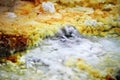 A gurgling brook of a sulfur spring in Dallol, Ethiopia Royalty Free Stock Photo