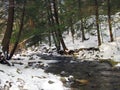 Gurgling Stream In the Winter Woods