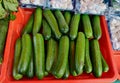 Gurke, Cucumber is a widely-cultivated creeping vine plant in the Cucurbitaceae gourd family that bears cucumiform fruits, which