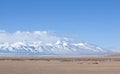 Gurla Mandhata mount and herd of kiangs in Tibet, China