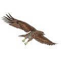 Gurney Eagle on white. 3D illustration