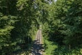 The Gurten funicular lets you to reach a paradise of green meadows and breathtaking views of the snowy caps of the Bernese