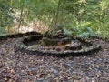 gushing spring built of stones in autumn park with colorful trees and bushes Royalty Free Stock Photo