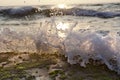 Wave Smashing on Seaweed Rock