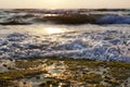 Wave Smashing on Seaweed Rock