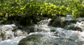 Gushing water in a creek