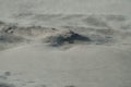 Sand blowing over the beach