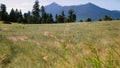 Gusty wind blows across a prairie and sweeps through the grass in the distance, causing it to look like waves of green and white