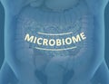 Gut bacteria , gut flora, microbiome. Bacteria inside the small intestine, concept, representation. 3D illustration