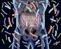 Gut bacteria , gut flora, microbiome. Bacteria inside the small intestine, concept, representation. Royalty Free Stock Photo