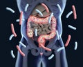 Gut bacteria, microbiome. Bacteria inside the large intestine, concept, representation.