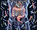 Gut bacteria, microbiome. Bacteria inside the large intestine, concept, representation. Royalty Free Stock Photo