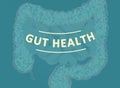 Gut bacteria, microbiome. Bacteria inside the large intestine, concept, representation. 3D illustration Royalty Free Stock Photo