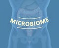 Gut bacteria, microbiome. Bacteria inside the large intestine, concept, representation. 3D illustration Royalty Free Stock Photo