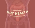 Gut bacteria, microbiome. Bacteria inside the large intestine, concept, representation. 3D illustration Royalty Free Stock Photo