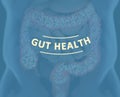 Gut bacteria, microbiome. Bacteria inside the large intestine, concept, representation. 3D illustration