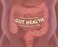 Gut bacteria, microbiome. Bacteria inside the large intestine, concept, representation. 3D illustration Royalty Free Stock Photo