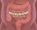 Gut bacteria, microbiome. Bacteria inside the large intestine, concept, representation. 3D illustration Royalty Free Stock Photo