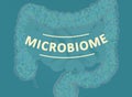 Gut bacteria, microbiome. Bacteria inside the large intestine, concept, representation. 3D illustration Royalty Free Stock Photo