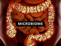 Gut bacteria, microbiome. Bacteria inside the large intestine, concept, representation. 3D illustration