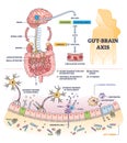 Gut brain axis and body digestive system impact to brain outline diagram Royalty Free Stock Photo