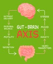 Gut - Brain AXIS vertical poster. Useful infographic. Royalty Free Stock Photo