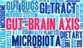 Gut-Brain Axis Word Cloud Royalty Free Stock Photo