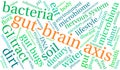 Gut-Brain Axis Word Cloud Royalty Free Stock Photo