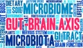 Gut-Brain Axis Word Cloud