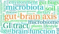 Gut-Brain Axis Word Cloud Royalty Free Stock Photo