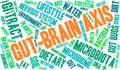 Gut-Brain Axis Word Cloud Royalty Free Stock Photo