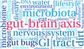 Gut-Brain Axis Word Cloud Royalty Free Stock Photo