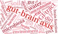 Gut-Brain Axis Word Cloud Royalty Free Stock Photo