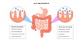 Human gut microbiota