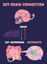 Gut-brain connection. Medical, scientific, healthcare concept. Vector