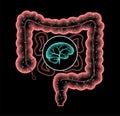 Gut Brain 3D