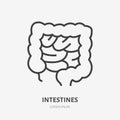 Gut flat line icon. Vector thin pictogram of human internal organ, intestines outline illustration for medical clinic Royalty Free Stock Photo