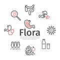 Gut flora banner. Line icons set. Vector signs