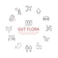 Gut flora. Line icons set. Vector signs Royalty Free Stock Photo