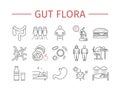 Gut flora. Line icons set.