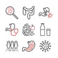 Gut flora. Line icons set. Vector signs