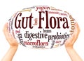 Gut Flora word cloud hand sphere concept