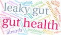 Gut Health Word Cloud