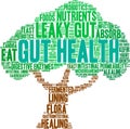 Gut Health Word Cloud Royalty Free Stock Photo