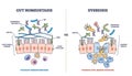 Gut homeostasis and dysbiosis immune response differences outline diagram Royalty Free Stock Photo