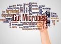 Gut Microbes word cloud and hand with marker concept