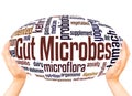 Gut Microbes word cloud hand sphere concept