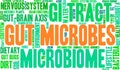 Gut Microbes Word Cloud